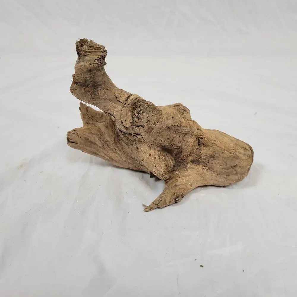 Ohio River Driftwood 8